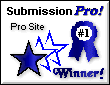 Pro-Award #1