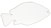 tar2800100.gif