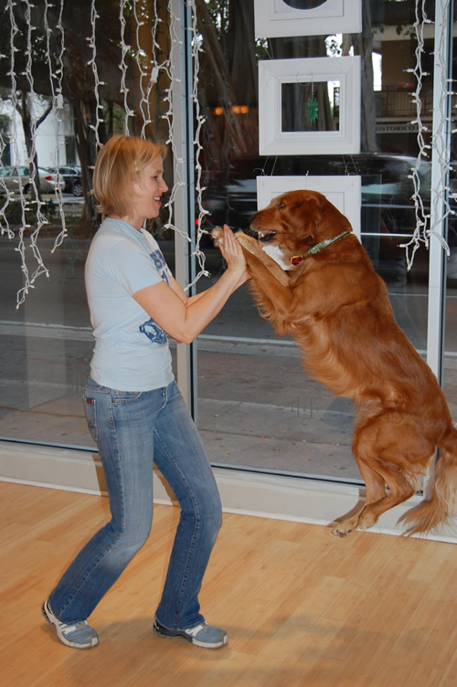 Lucy and her aerial hi-five!