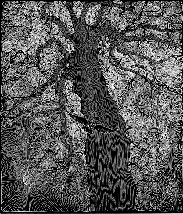Michelle Dick's scratch art image titled - "Star Tree"