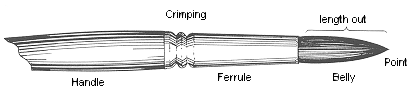 Brush Anatomy Picture