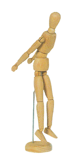 Male Manikin - Size 16