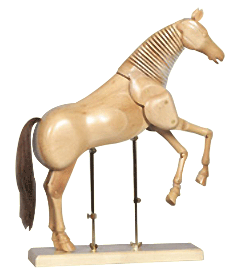Horse Manikin - Size 22