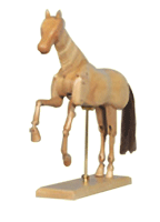 Pony Manikin - Size 12