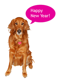 Lucy says Happy New Year!