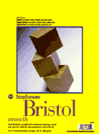 Strathmore Bristol Pad, 100 lb, Vellum, 20 Sheets - Size 9 x 12